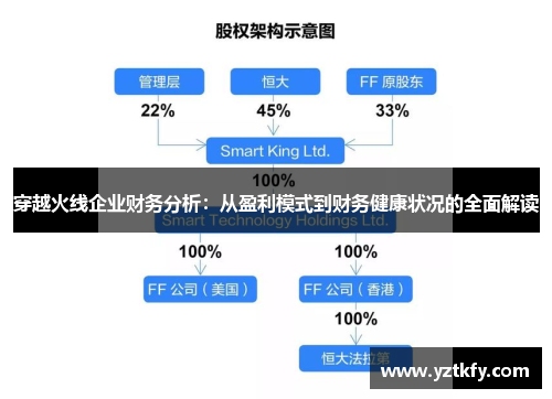 穿越火线企业财务分析：从盈利模式到财务健康状况的全面解读